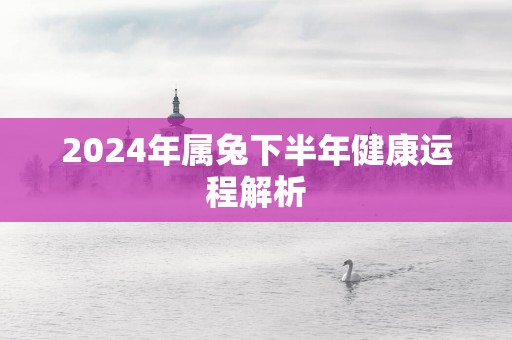 2025年属兔下半年健康运程解析