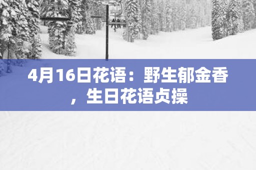 4月16日花语：野生郁金香，生日花语贞操