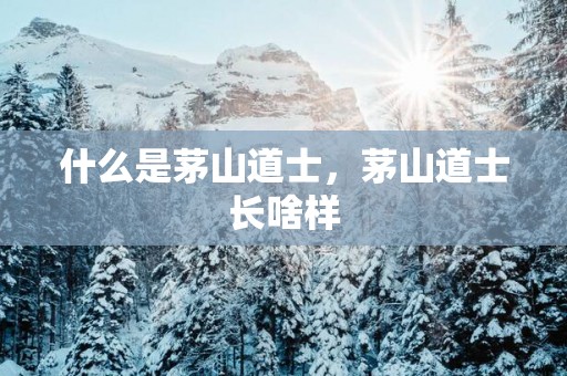 什么是茅山道士，茅山道士长啥样