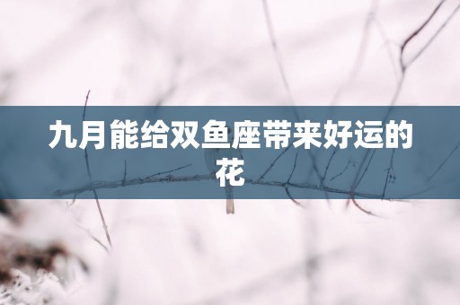 九月能给双鱼座带来好运的花