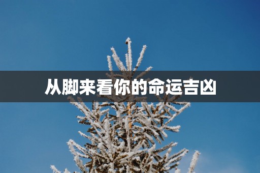 从脚来看你的命运吉凶