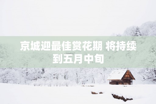 京城迎最佳赏花期 将持续到五月中旬