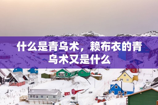 什么是青乌术，赖布衣的青乌术又是什么