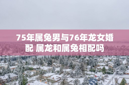 75年属兔男与76年龙女婚配 属龙和属兔相配吗