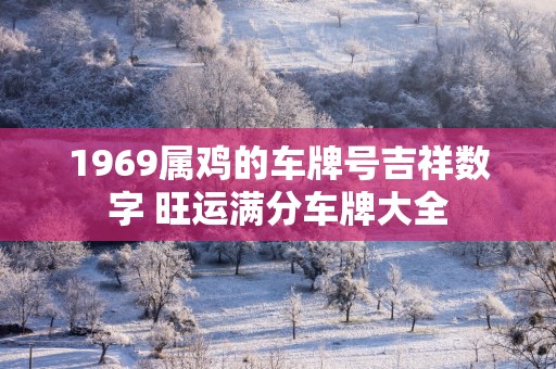 1969属鸡的车牌号吉祥数字 旺运满分车牌大全