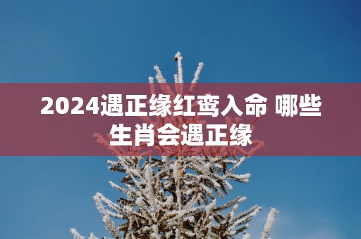 2024遇正缘红鸾入命 哪些生肖会遇正缘