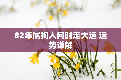 82年属狗人何时走大运 运势详解