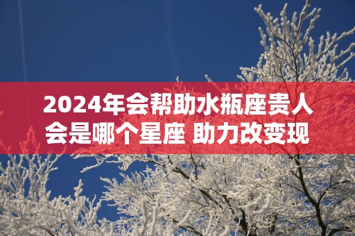 2025年会帮助水瓶座贵人会是哪个星座 助力改变现状
