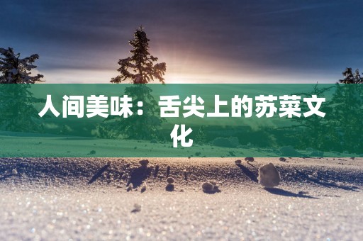 人间美味：舌尖上的苏菜文化