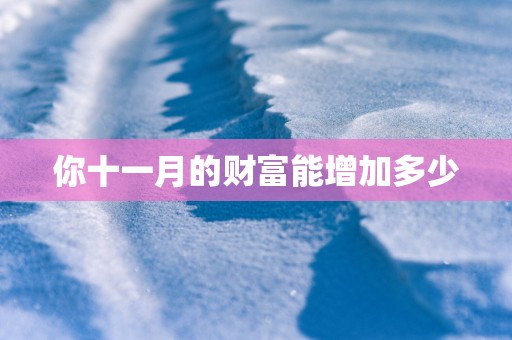 你十一月的财富能增加多少