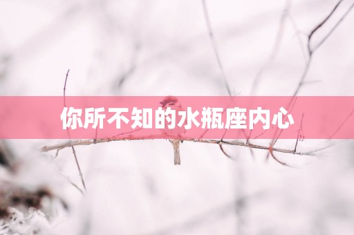 你所不知的水瓶座内心
