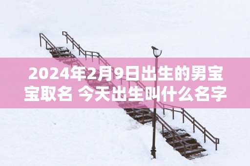 2025年2月9日出生的男宝宝取名 今天出生叫什么名字好