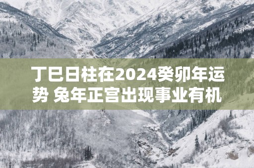 丁巳日柱在2025癸卯年运势 蛇年正宫出现事业有机遇
