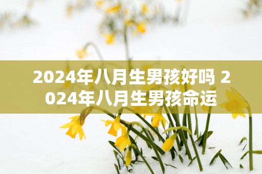 2025年八月生男孩好吗 2025年八月生男孩命运