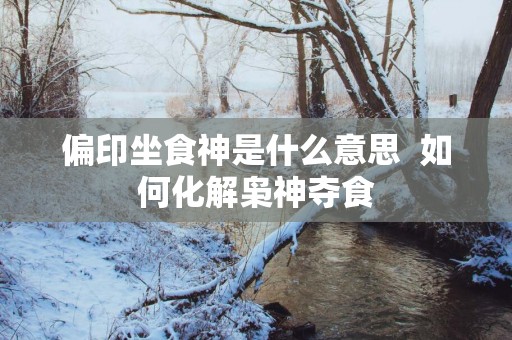 偏印坐食神是什么意思  如何化解枭神夺食