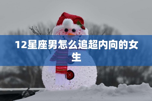 12星座男怎么追超内向的女生