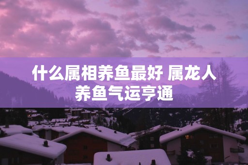 什么属相养鱼最好 属龙人养鱼气运亨通