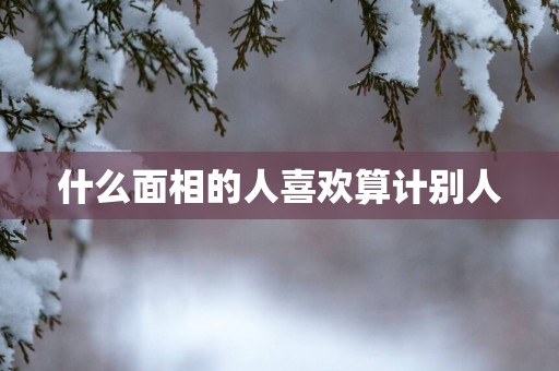 什么面相的人喜欢算计别人