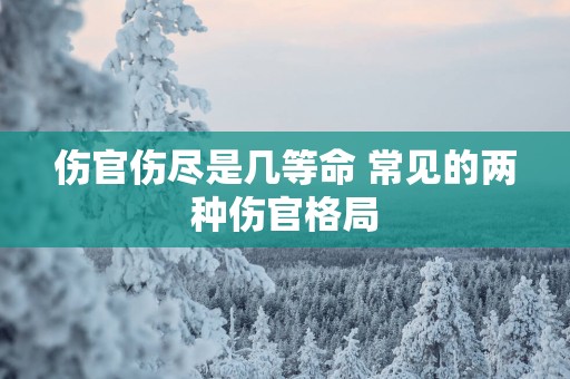 伤官伤尽是几等命 常见的两种伤官格局