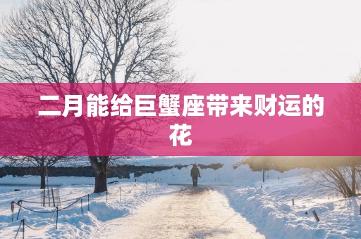 二月能给巨蟹座带来财运的花