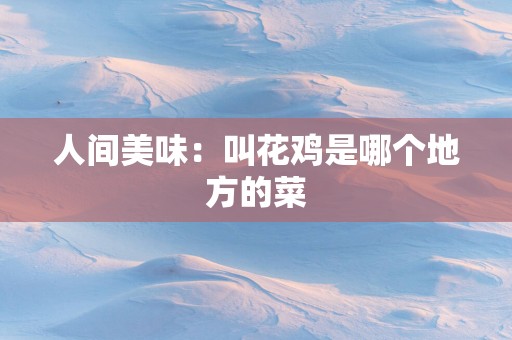 人间美味：叫花鸡是哪个地方的菜