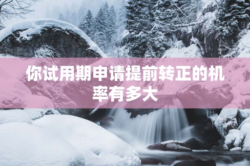 你试用期申请提前转正的机率有多大