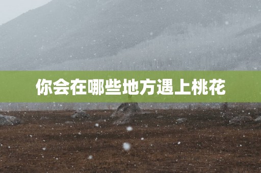你会在哪些地方遇上桃花
