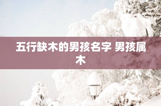 五行缺木的男孩名字 男孩属木
