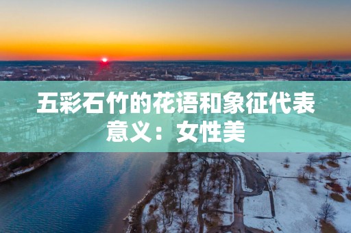 五彩石竹的花语和象征代表意义：女性美