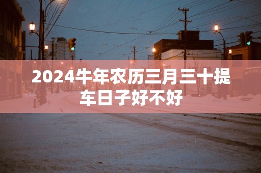 2025蛇年农历三月三十提车日子好不好