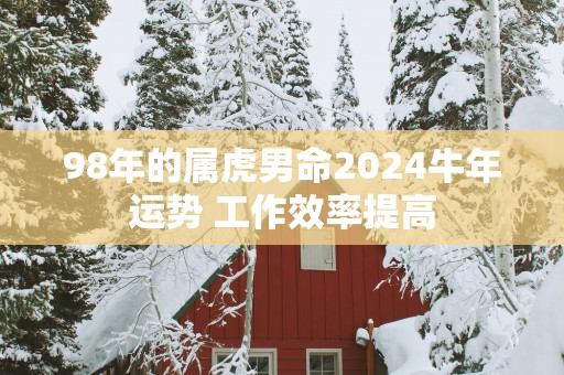 98年的属虎男命2025蛇年运势 工作效率提高