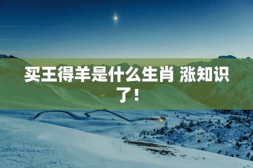 买王得羊是什么生肖 涨知识了！