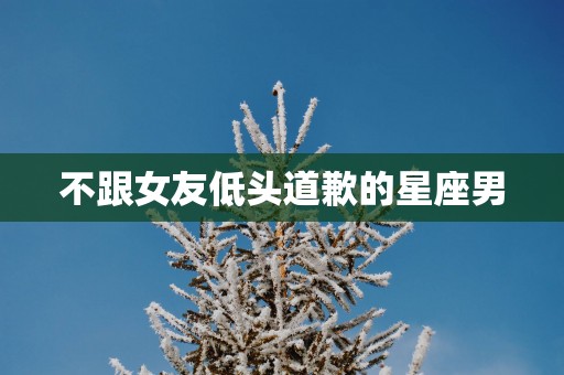 不跟女友低头道歉的星座男