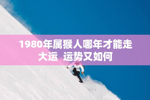 1980年属猴人哪年才能走大运  运势又如何