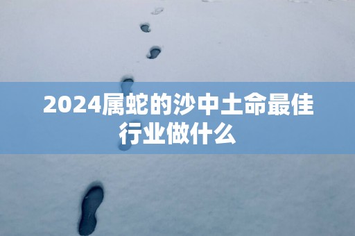 2025属蛇的沙中土命最佳行业做什么