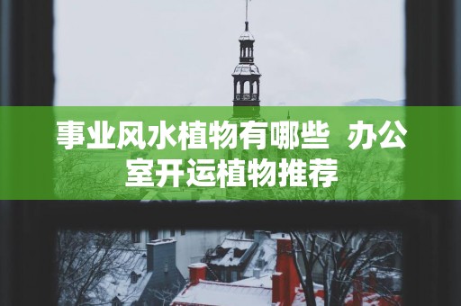 事业风水植物有哪些  办公室开运植物推荐