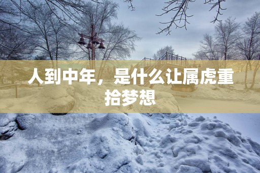 人到中年，是什么让属虎重拾梦想