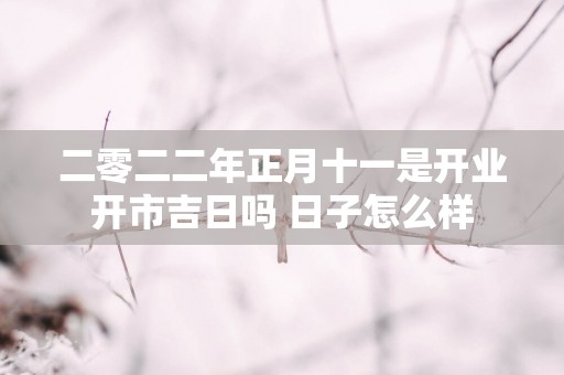 二零二二年正月十一是开业开市吉日吗 日子怎么样