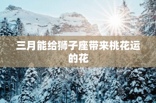 三月能给狮子座带来桃花运的花