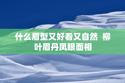 什么眉型又好看又自然  柳叶眉丹凤眼面相