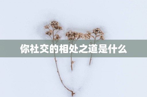 你社交的相处之道是什么