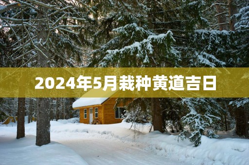 2025年5月栽种黄道吉日