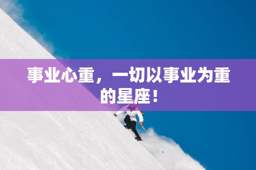 事业心重，一切以事业为重的星座！