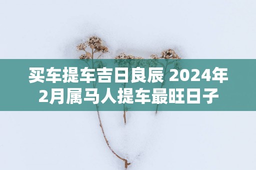 买车提车吉日良辰 2025年2月属马人提车最旺日子