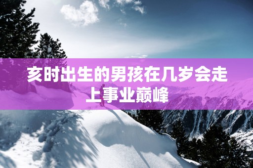 亥时出生的男孩在几岁会走上事业巅峰