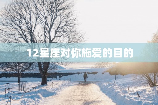 12星座对你施爱的目的