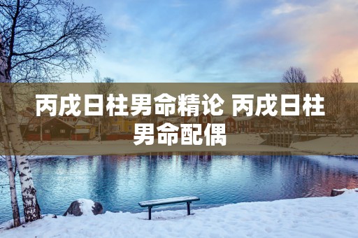 丙戌日柱男命精论 丙戌日柱男命配偶
