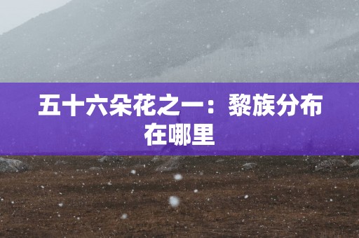 五十六朵花之一：黎族分布在哪里