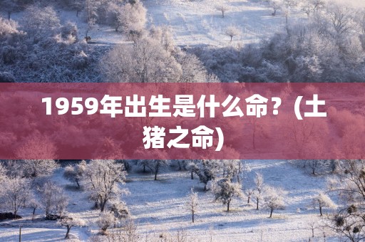 1959年出生是什么命？(土猪之命)