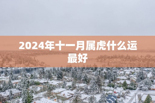 2025年十一月属虎什么运最好